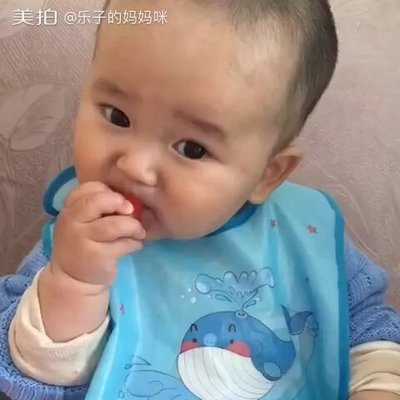 七个月的宝宝可以吃西红柿吗