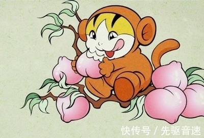 办事效率高的生肖
