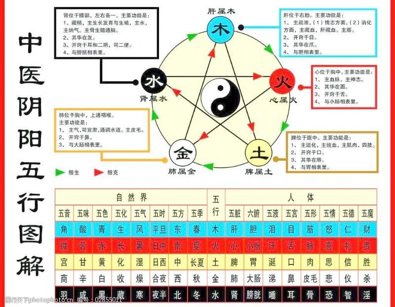 阴阳与五行