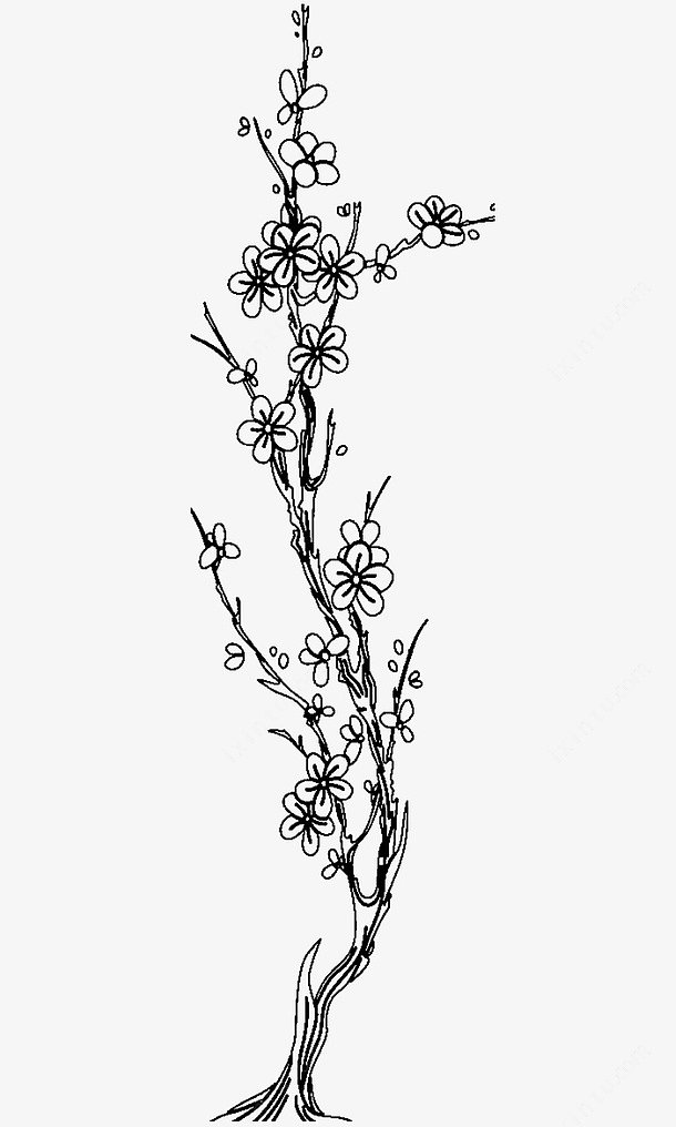 梅花树怎么画简单一点