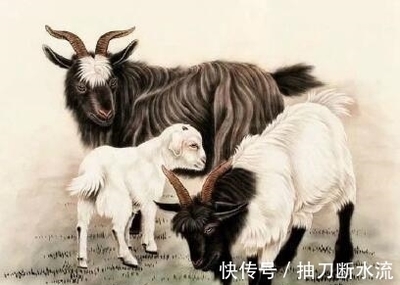 一家三个属羊的好不好