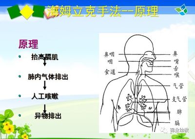 手法的作用原理是什么