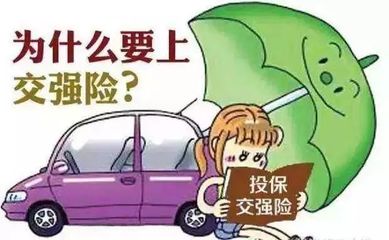 交强险案例