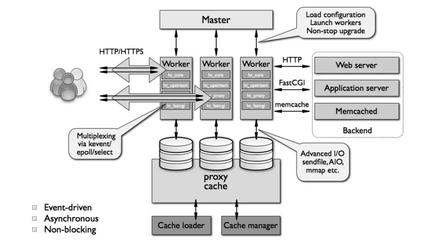 php fpm进程监控插件