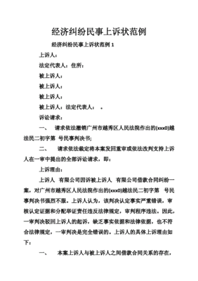 民事纠纷上诉状范文