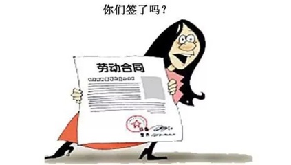 劳动合同的订立