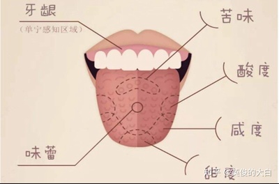 舌头发咸是怎么回事