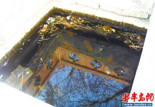 室内养鱼池设计图