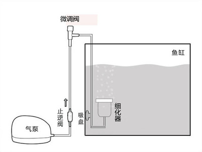 大型魚缸怎么搬運(yùn)上下樓梯視頻  雙線側(cè)魚