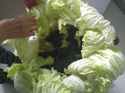 白菜帮的制作方法