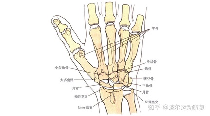 手腕转动疼是怎么回事