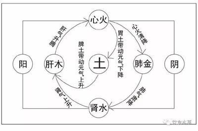 清字五行属什么