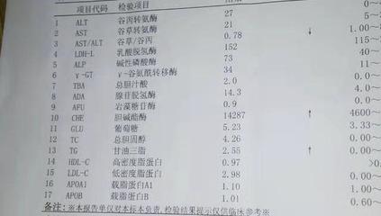 学校体检肝五项检查多少钱