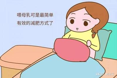 哺乳能减肥吗
