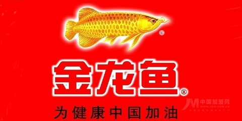 什么膠水粘魚缸最好（什么膠水粘魚缸最好用）