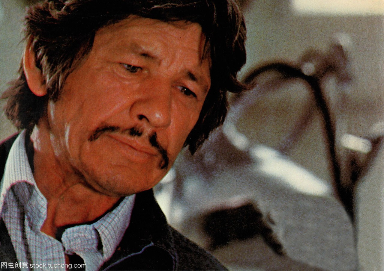 美国演员查尔斯·布朗森在电影《majestik先生.