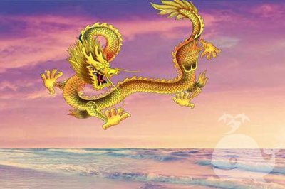 孕妇梦见一条龙