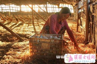 做梦捡鸭蛋是什么意思