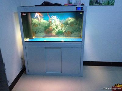 廣州水族批發(fā)市場買觀賞魚便宜嗎知乎（廣州水族批發(fā)市場買觀賞魚便宜嗎知乎） 觀賞魚水族批發(fā)市場