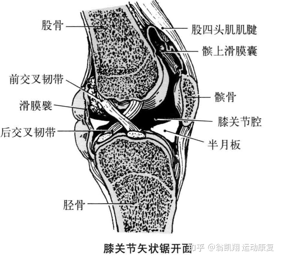 腱鞘积液是怎么回事