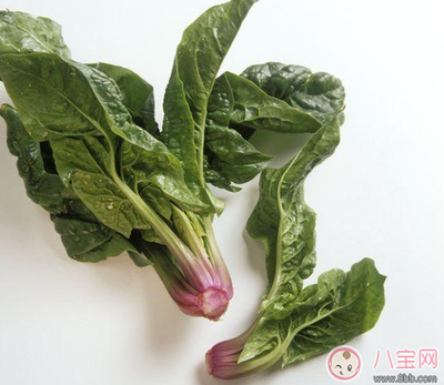 怀孕白萝卜可以吃吗