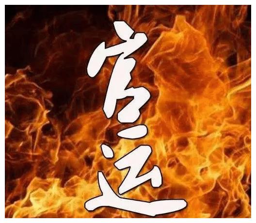 适合从政的八字