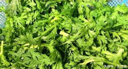 咳嗽可以吃茼蒿吗
