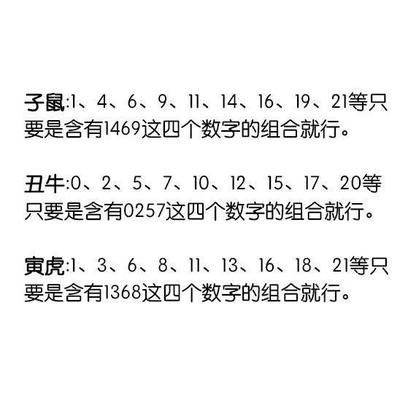 阴阳五行查询