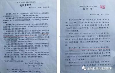 诉讼法律意见书