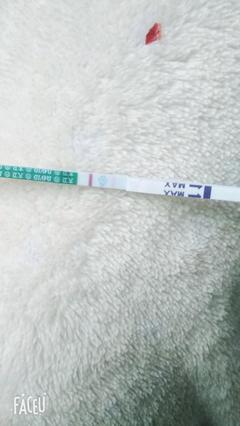 怀孕初期一个月症状