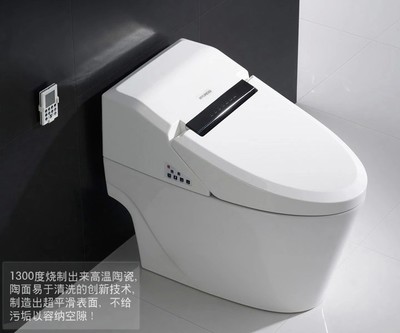 自动清洗马桶