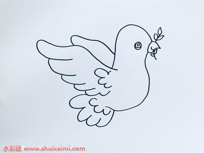 怎么画和平鸽