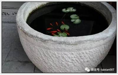 金龟寓意