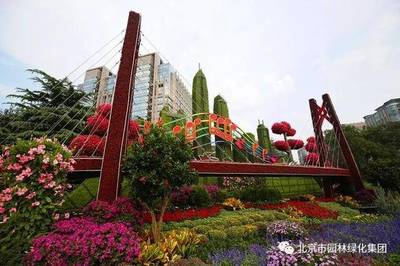 花坛设计理念