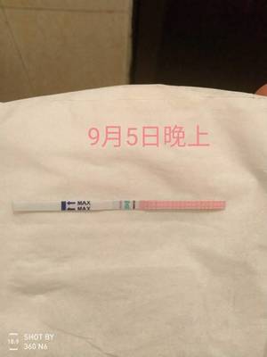 试纸最快几天测出怀孕