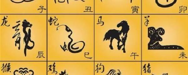 生肖狗和猪相配吗