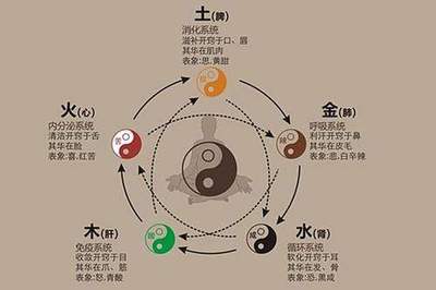八字比劫