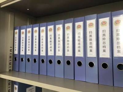 犯罪档案