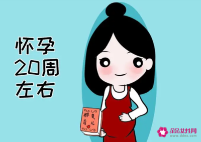 生育津贴几个月