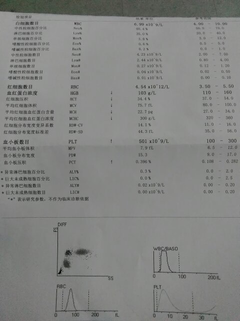 孕妇红细胞计数偏低
