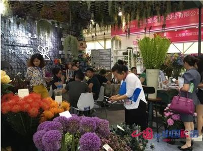 常州花卉批发市场在哪里