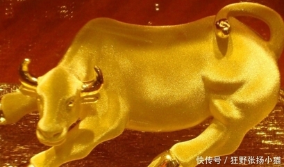 步步高升是什么生肖