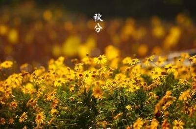 秋天是什么生肖