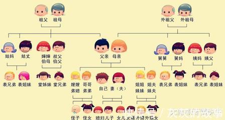 伯父是什么亲属关系