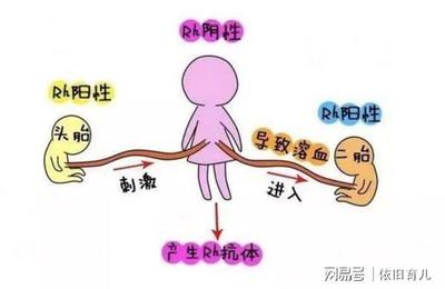 怀孕溶血是什么意思