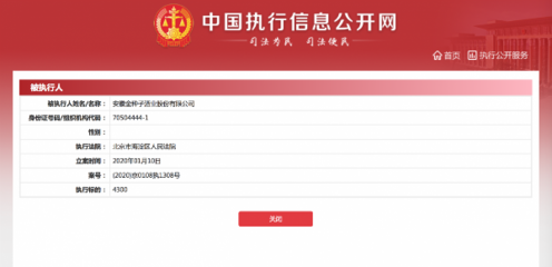 执行公开网