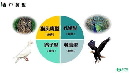 孔雀型性格