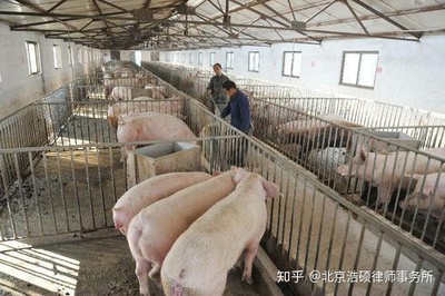 办养殖场需要哪些手续
