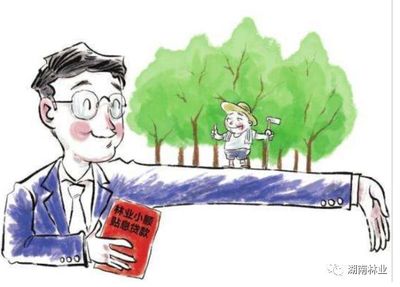林权抵押贷款