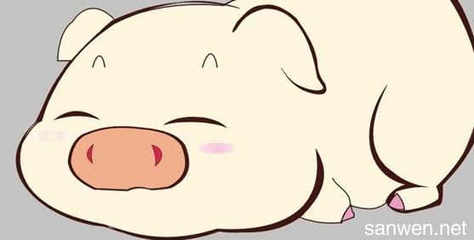 男属羊和女属猪